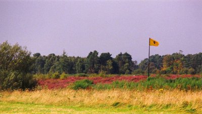 Culloden Battlefield