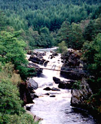 Rogie Falls